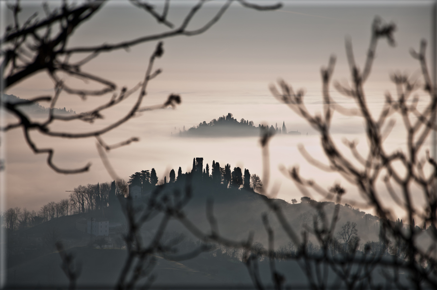 foto Colline di Romano d'Ezzelino nella Nebbia